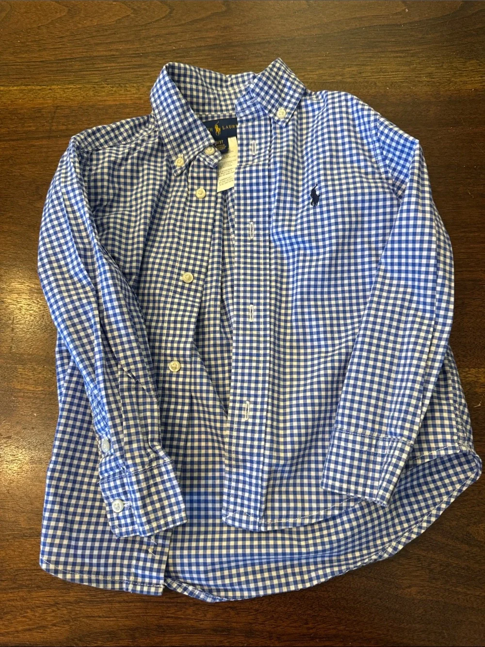 Ralph Lauren Blue and White Gingham Button-Down Shirt - Kids